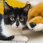 Adolph Daniel Profile Picture